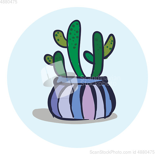 Image of Spotted cactus bush in a beautiful designed flower pot vector co