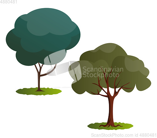 Image of Couple of green trees vector illustration on white background