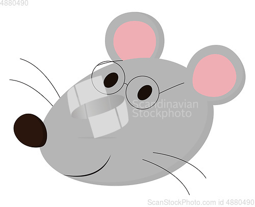 Image of Mouse vector color illustration.