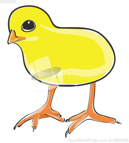 Image of Cute chicken vector or color illustration