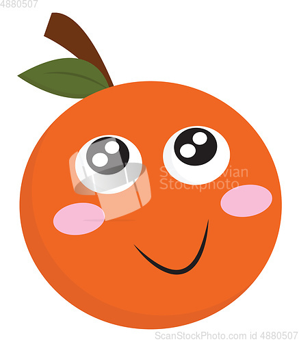 Image of Smiling orange vector or color illustration