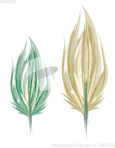 Image of Leaf shape feather painting vector or color illustration