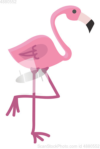 Image of A beautiful pink flamingo bird standing in one leg vector color 