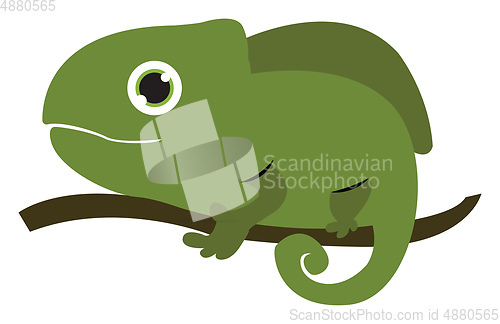 Image of Chameleon on a tree vector or color illustration