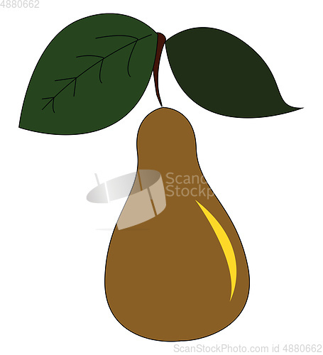Image of Brown pear vector or color illustration
