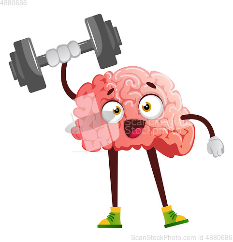 Image of Brain lifting weights, illustration, vector on white background.