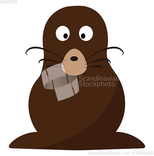 Image of Staring harp seal vector or color illustration