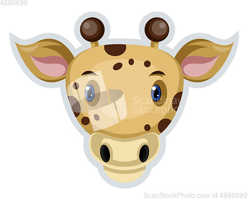 Image of Cow, vector color illustration.