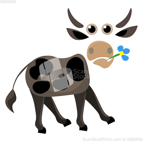 Image of Portrait of a cow holding flower in its mouth vector or color il