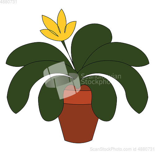 Image of Plant in pot vector or color illustration