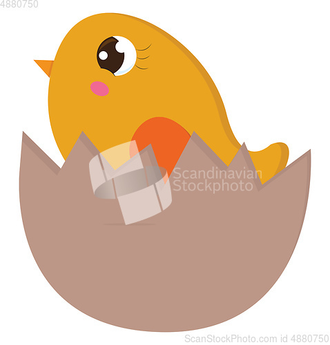 Image of Yellow chick in an egg shell vector illustration on white backgr