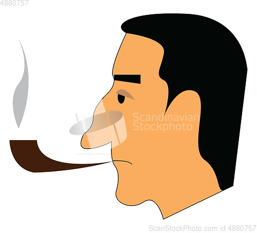 Image of Man with cigar pipe vector or color illustration