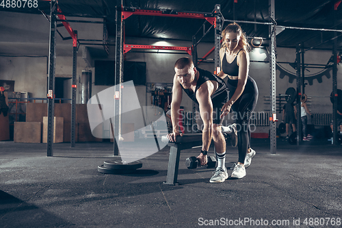 Image of Beautiful young sporty couple training, workout in gym together