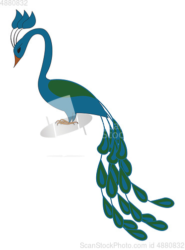 Image of Blue and green peacock vector illustration on white background 