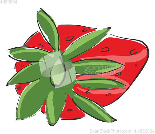 Image of View of strawberry vector or color illustration