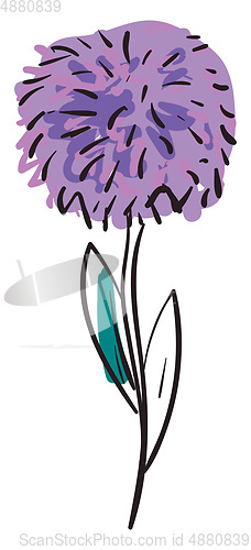 Image of Simple purple flower vector illustration on white background.