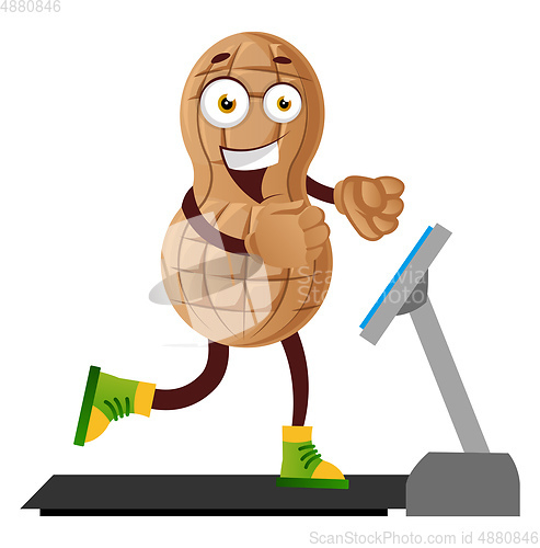 Image of Peanut run on the conveyor belt, illustration, vector on white b