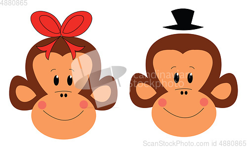 Image of Couple of monkeys vector illustration 