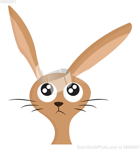 Image of A rabbit with longs ears vector or color illustration