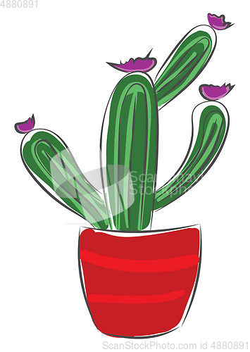 Image of Cactus in a pot vector or color illustration