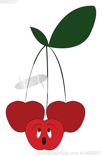 Image of Three cherry fruits hanging from a single branch looking at diff
