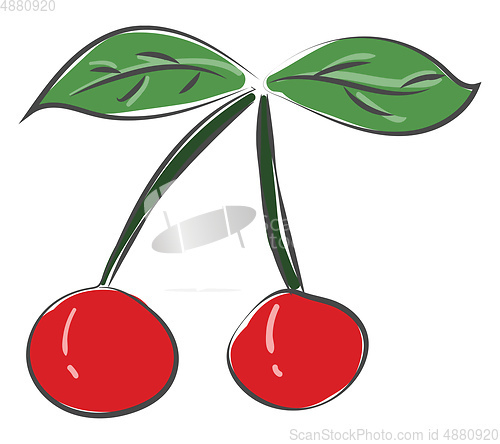 Image of cherry drawing vector or color illustration