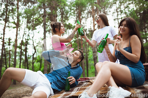 Image of Group of friends clinking beer bottles during picnic in summer forest. Lifestyle, friendship