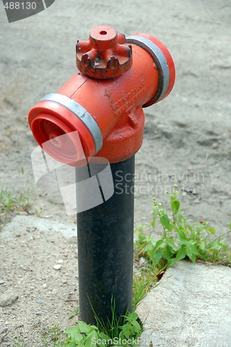 Image of fire hydrant