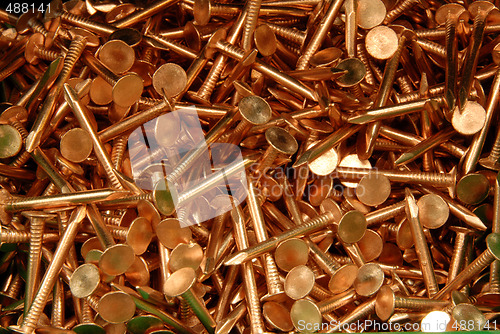 Image of copper nails