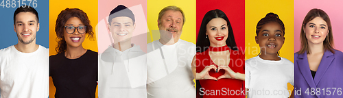 Image of Portrait of people on multicolored background, creative collage