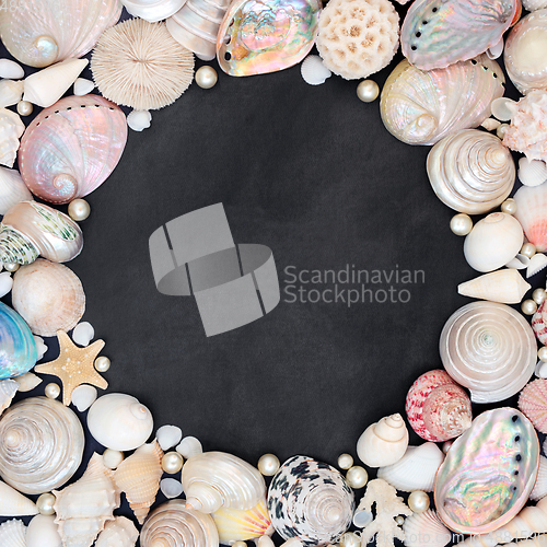 Image of Beautiful Seashell and Pearl Background Border 