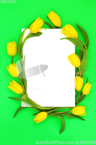 Image of Yellow Spring Tulip Flower Abstract Background Border 