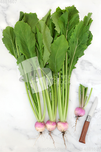 Image of Healthy Turnips High in Fibre 