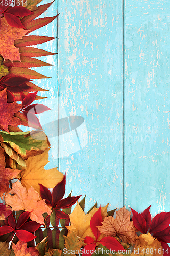 Image of Abstract Natural Autumn Leaf Background Border