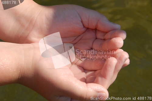 Image of very young and little fish