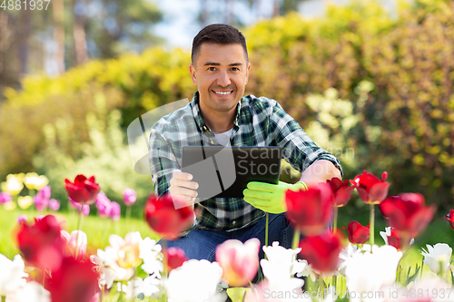 Image of man with tablet pc and flowers at summer garden