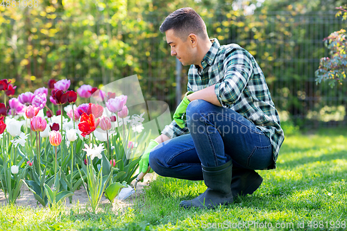 Image of man with scoop taking care of flowers at garden