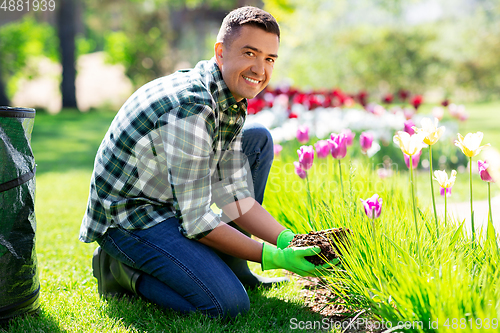 Image of middle-aged man taking care of flowers at garden