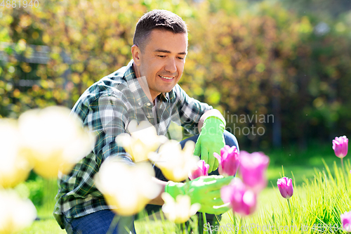 Image of happy man taking care of flowers at garden