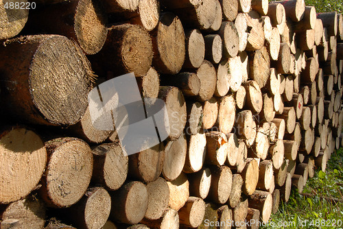 Image of pile of Wood