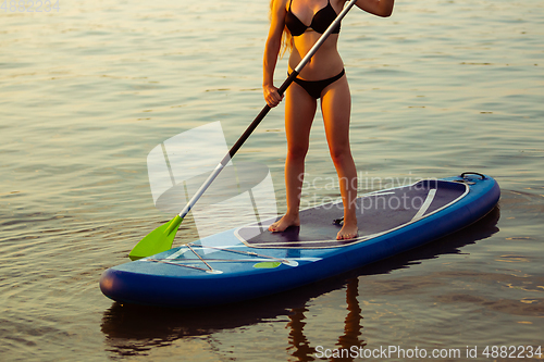 Image of Young attractive woman standing on paddle board, SUP. Active life, sport, leisure activity concept