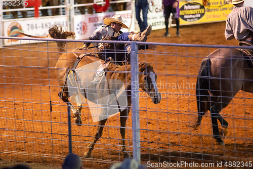 Image of cowboy rodeo championship in the evening