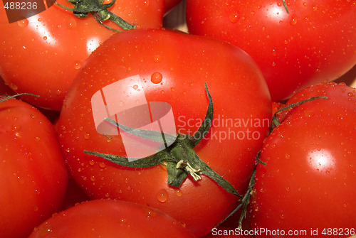 Image of red tomatoes