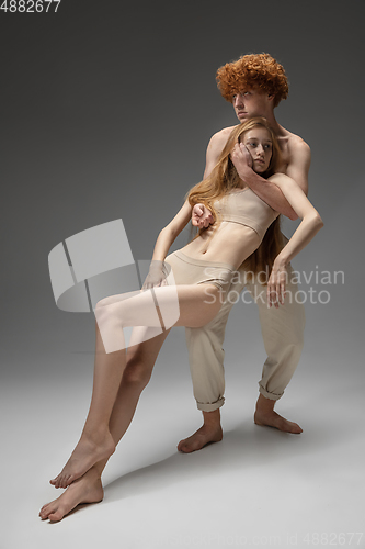 Image of Portrait of beautiful redhead couple isolated on grey studio background. Concept of beauty, skin care, fashion and style