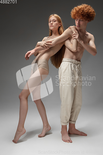 Image of Portrait of beautiful redhead couple isolated on grey studio background. Concept of beauty, skin care, fashion and style