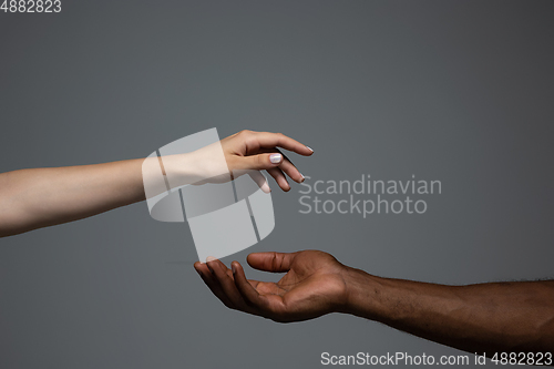 Image of Racial tolerance. Respect social unity. African and caucasian hands gesturing isolated on gray studio background