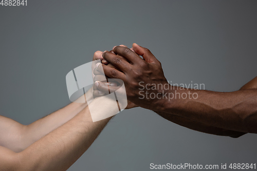 Image of Racial tolerance. Respect social unity. African and caucasian hands gesturing isolated on gray studio background