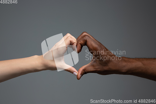 Image of Racial tolerance. Respect social unity. African and caucasian hands gesturing isolated on gray studio background