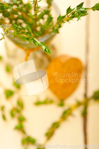 Image of fresh thyme on a glass jar