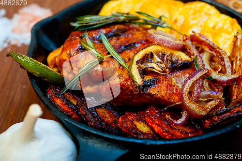 Image of roasted grilled BBQ chicken breast with herbs and spices